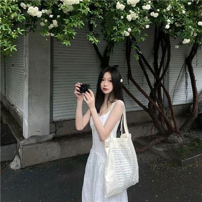 女士的法则